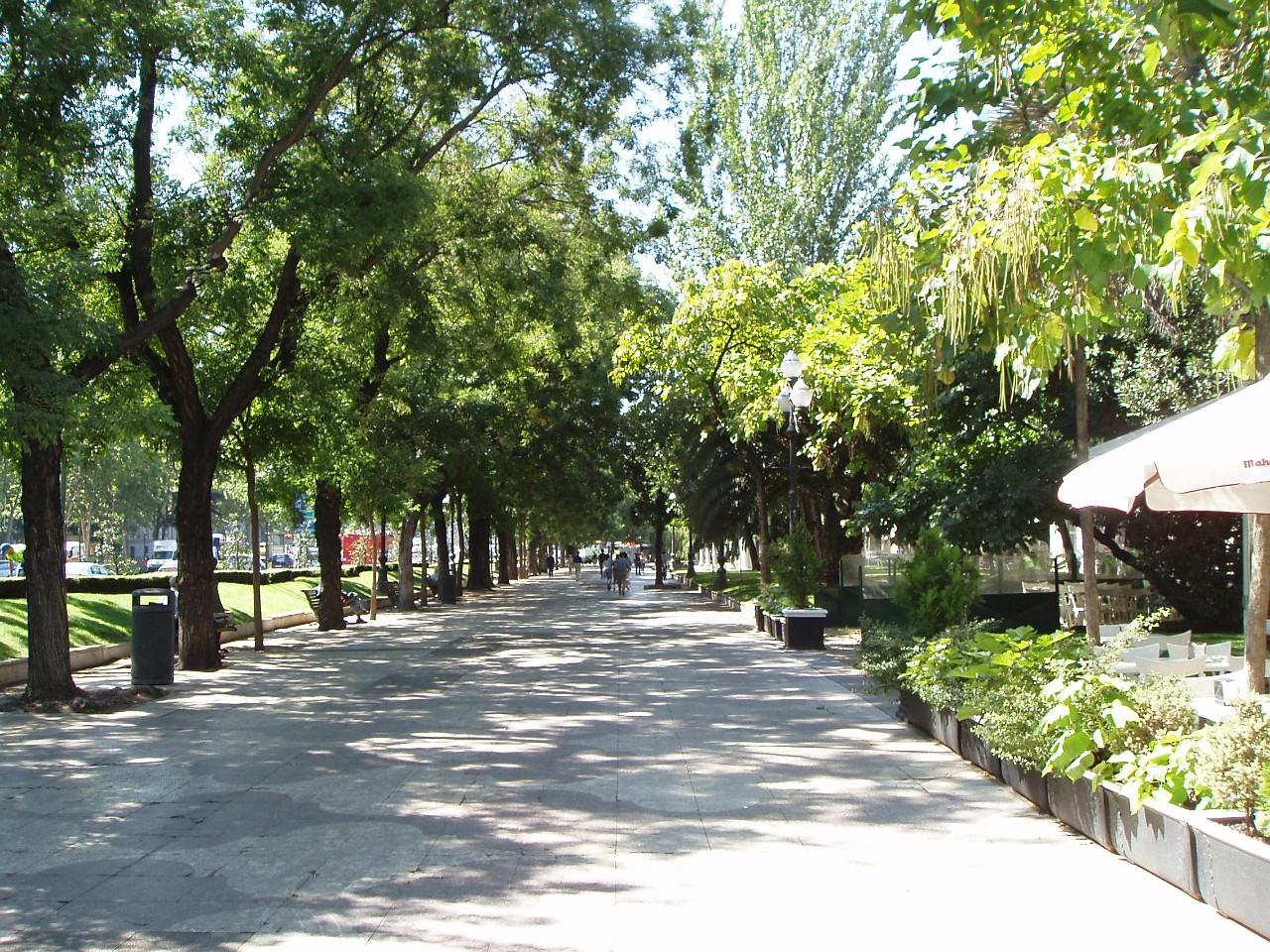 Beautiful tree-lined Paseo Recoletos